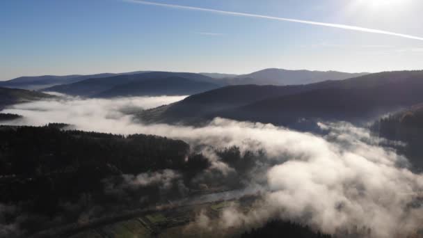 Fantastiska landskap av Karpaterna. Dimmig morgon, dimma över dalen och floden, barrskogar på sluttningarna. Smidig flyga fram — Stockvideo