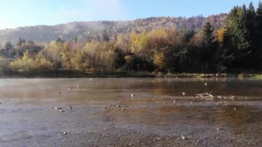 Uçan dağ Karpatlar, Ukrayna nehirde Stryi yukarıda. Vadideki eski ahşap kulübe. Sonbahar, sabah saat