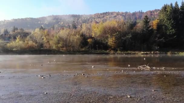 Fliegen Über Gebirgsstryi Fluss Den Karpaten Ukraine Alte Holzhütten Tal — Stockvideo