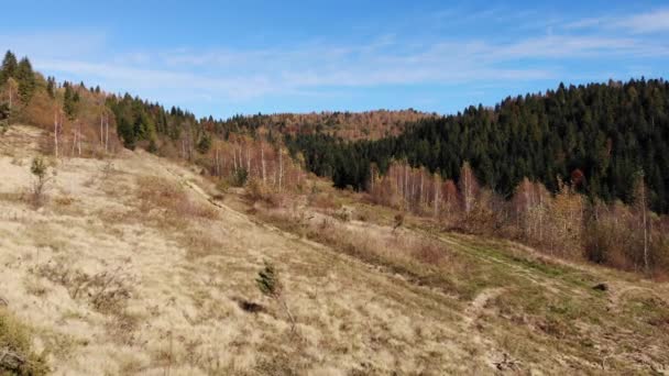 Карпаты Украине Почвенные Дороги Канавы Образованные Потоками Дождевой Воды — стоковое видео