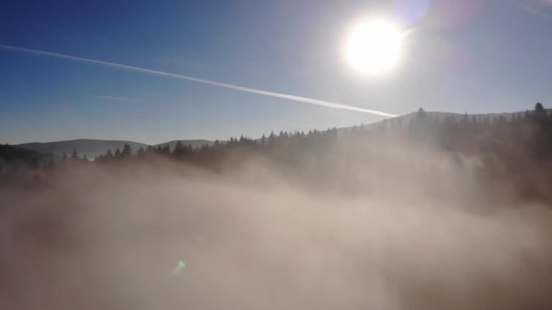 森と山脈カルパティア山脈 太陽の光の朝の霧 朝時間 — ストック動画