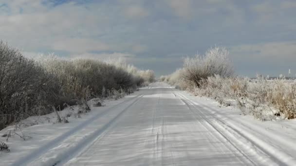 前面的飞行在一条多雪的路上。树木和灌木被雪覆盖, 冬天的美丽 — 图库视频影像