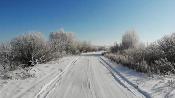 在一条多雪的路上平稳地飞行。树木和灌木被雪覆盖, 冬天的美丽 — 图库视频影像