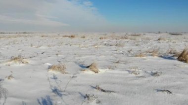 Karla kaplı düz ile Kuru ot. Kış, kırsal doğada. Arazi üzerinde düzgün sinek ileri