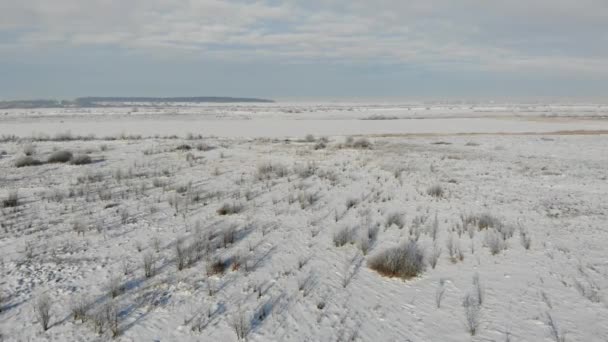 Luchtfoto van besneeuwde steppe, landschap van het platteland. Land begroeid met struiken en onkruid. Soepele vliegen vooruit — Stockvideo