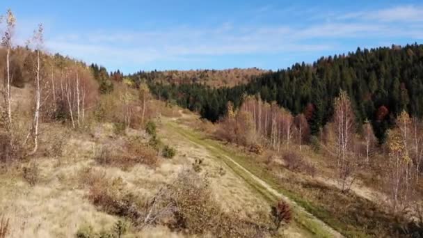 Karpaten Und Wälder Herbstzeit Reibungslose Vorwärtsbewegung — Stockvideo