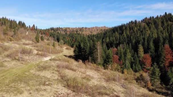 Montagnes Forêts Des Carpates Technique Vol Douceur — Video