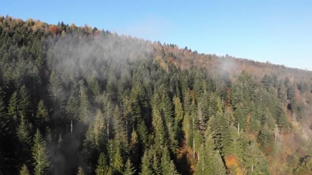 Vista Aérea Floresta Natureza Das Montanhas Dos Cárpatos Ucrânia — Vídeo de Stock