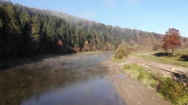 Volando Sobre Río Stryi Cárpatos Hermosa Naturaleza Troncos Madera Los — Vídeos de Stock