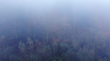 Sonbahar Misty sabah Karpat Dağları. Havadan görünümü, Vinç atış