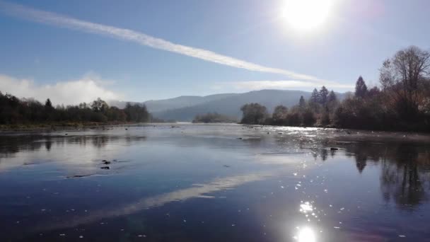 Über den Fluss Stryi, die Natur in den Karpaten. schöner, sonniger Herbsttag — Stockvideo