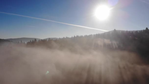 Misty amaneciendo en Cárpatos. Sobre bosques y montañas — Vídeo de stock