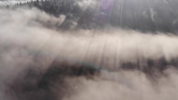 Les rayons du soleil pénètrent la brume matinale. Aube brumeuse dans les Carpates. Au-dessus des bois et montagnes .