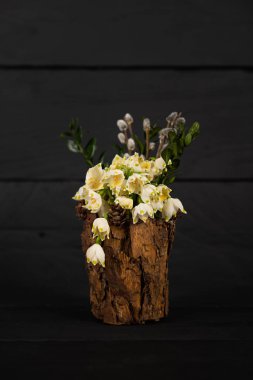 Dekoratif vazo içinde göl vernum. İlk Bahar kar tanesi var. İç Dekorasyon