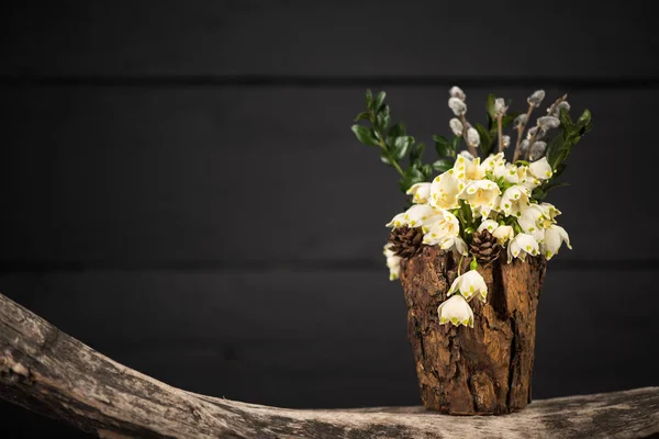 Flores em vaso decorativo. Leucojum vernum é o primeiro floco de neve da primavera. Tema do Dia Internacional da Mulher — Fotografia de Stock