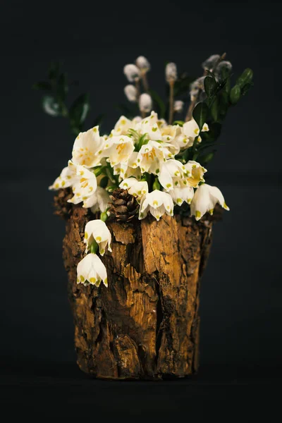 Leucojum vernum in a decorative vase. Is the first spring snowflake. Decorations for interior — Stock Photo, Image