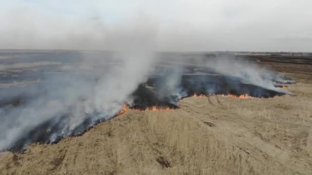 Vue aérienne de brûler de l'herbe sèche dans le champ, pan. Catastrophes et urgences, impact négatif sur la nature 