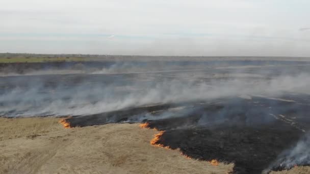 Vue aérienne du brûlage d'herbe sèche sur le terrain, technique d'inclinaison. Catastrophes et urgences, impact négatif sur la nature 