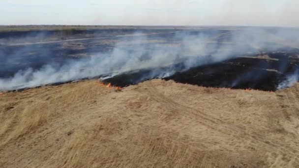 Vue aérienne de brûler de l'herbe sèche dans le champ, voler vers l'avant et vers le bas. Catastrophes et urgences, impact négatif sur la nature 