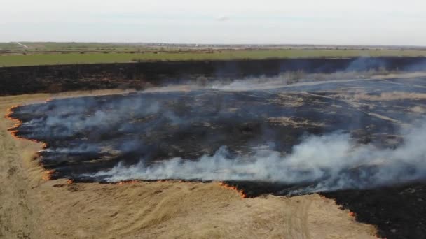 Vue aérienne du brûlage d'herbe sèche dans le champ. Tir de grue et technique d'inclinaison. Catastrophes et urgences, pollution atmosphérique 