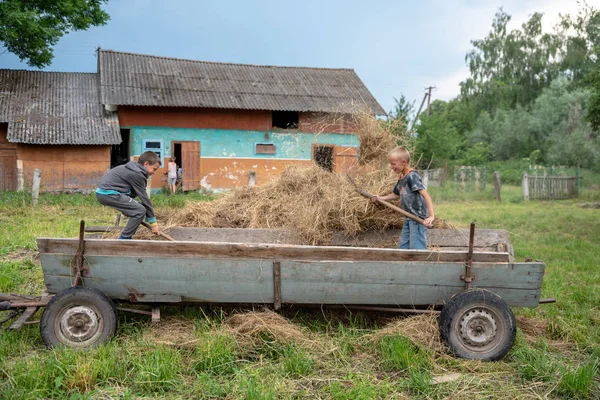 Litynia village, ukraine - 2. Juni 2018: zwei 10-jährige Jungen arbeiten in der Nähe von Heu. Heu für die Viehzucht. Leben in einem Dorf — Stockfoto