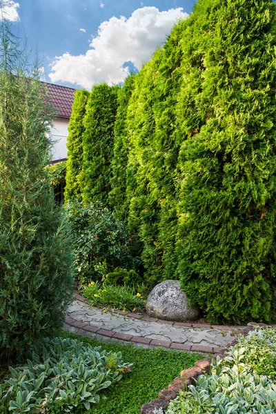 Landscaping in the yard, decoration services — Stock Photo, Image