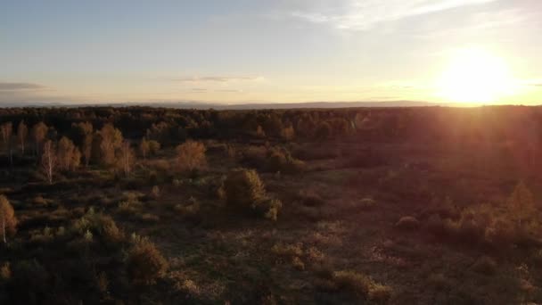 Letecký pohled na podzimní louku, krajinu, západ slunce a efekt odlesku přírodního objektivu — Stock video