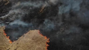 Yanan alan, yangın ve duman, üst görünüm. Doğaya olumsuz etki