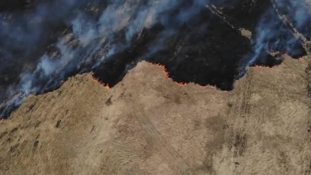 Boven het veld, vroege autemn branden, kantelen techniek — Stockvideo