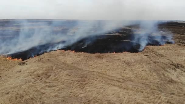 Vue aérienne du champ brûlant, vol en arrière. Catastrophe et impact négatif sur la nature