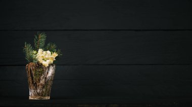 Dekoratif vazo içinde göl vernum. İlk Bahar kar tanesi var. Uluslararası Kadınlar Günü teması