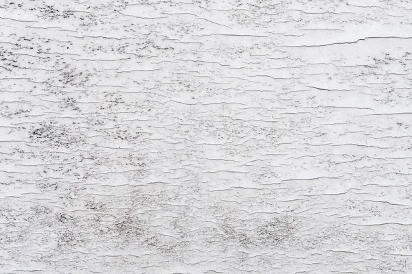 Δείγμα του ραγισμένο χρώμα σε ξύλινη επιφάνεια. Άθλια, βρώμικη και σπασμένη μπογιά. Φόντο και υφές, λευκό χρώμα — Φωτογραφία Αρχείου