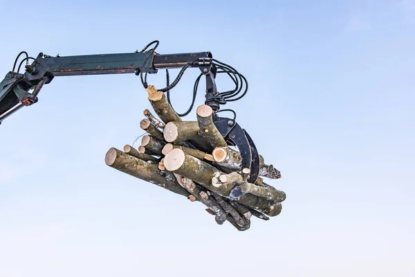 Hydraulický manipulátor se špalky, na nebeském pozadí — Stock fotografie