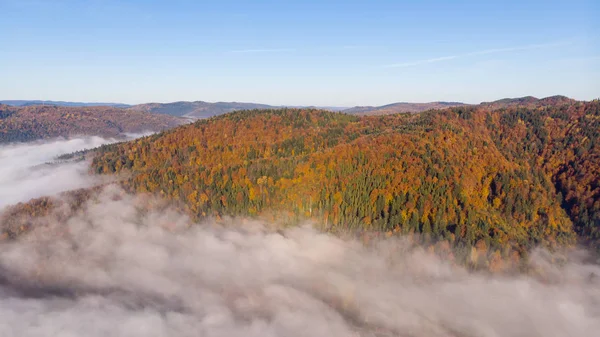 Повітряна думка осінніх Карпатських гір і лісів. Ранковий туман буде огортає гори. Україна — стокове фото