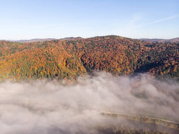 Повітряна думка осінніх Карпатських гір, лісів і річок, лугів і пагорбів, ранковий час — стокове фото