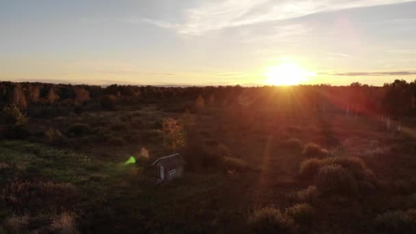 Underbar Solnedgång Höstkväll Skönheten Naturen Linsen Flare Naturlig Effekt Trä — Stockvideo