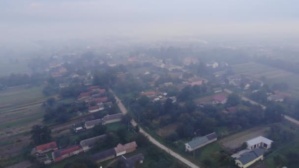 Brandende Onkruid Het Veld Rook Schade Aan Het Milieu Luchtverontreiniging — Stockvideo