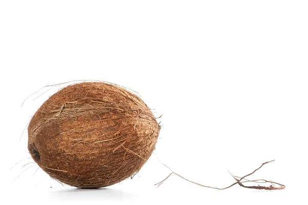Kokosnoot op witte achtergrond, met Kopieer ruimte voor tekst — Stockfoto