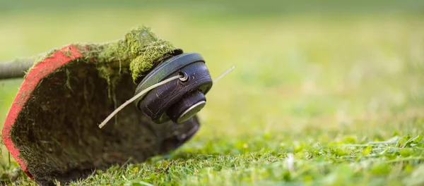 Strängtrimmer på nyklippt Grass. Banner format bakgrund med kopierings utrymme. Temat Trädgårdsskötsel tjänster, verktygs uthyrning eller reparation — Stockfoto