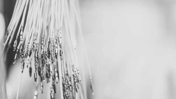 Bundle of crimped cables with electrical connectors. Terminated wire ready to creation connection. Industrial background with copy space for text, soft color effect. Monochrome with matte effect