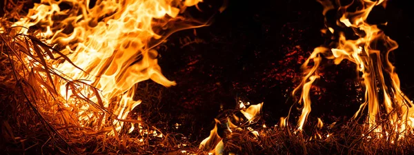 Natur in Flammen. Nachtschuss. Themen wie Feuer, Katastrophen und Extremereignisse. Hintergrund mit Kopierraum für Text, Banner — Stockfoto