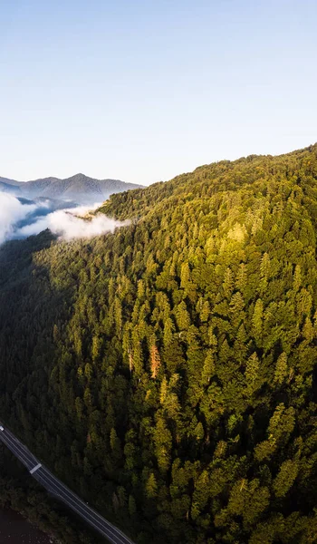 Aerial drone uitzicht boven mistige bergen en naaldbossen. Verticaal landschap. Ochtend tijd. Carpathians, Oekraïne — Stockfoto