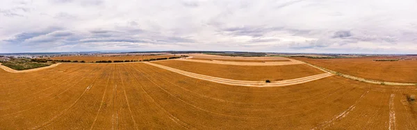 Вид с воздуха с беспилотника на сельхозугодия. Комбайны работают на сельскохозяйственных землях, собирают урожай. 180 градусов панорамный пейзаж — стоковое фото
