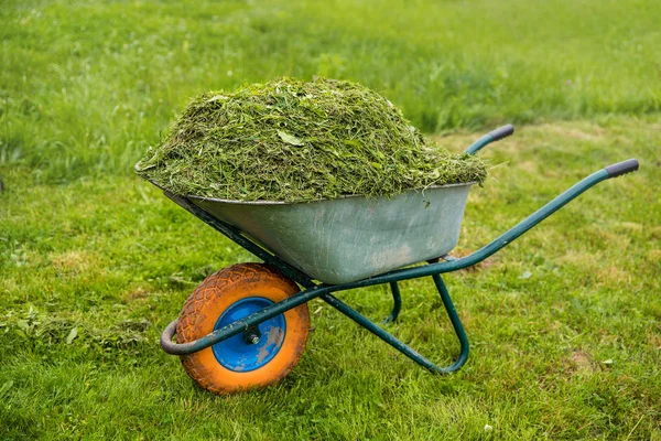 Um carrinho de mão cheio de erva. Jardim e gramado cuidados tema. Área de serviços de assistência — Fotografia de Stock