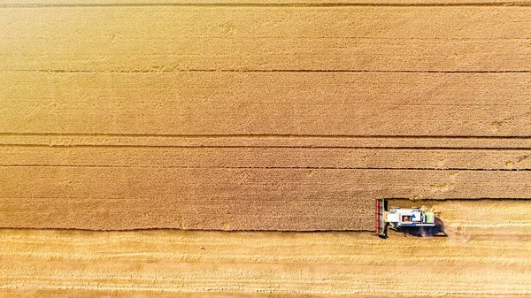 収穫者を組み合わせることで コムギ畑に穀物を集め トップビュー 収穫の時間だ 空中ドローンビュー ストック画像