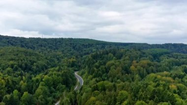 Araba, dağlar arasındaki kozalaklı bir ormanın ortasında dolambaçlı bir yolda hareket ediyor. Hava aracı görünümü