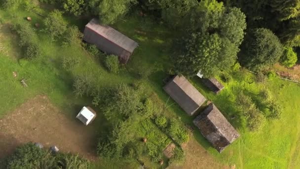 古い木造の小屋 安定した そして山の斜面に緑の自然の間で干し草の山を持つ庭の空中ドローンビュー トップビュー 田舎の景勝地 ウクライナに関する話 — ストック動画