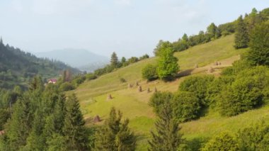 Dağ yamacında bir sürü saman yığını. Manzaralı arazi manzarasının insansız hava aracı görüntüsü, 4k