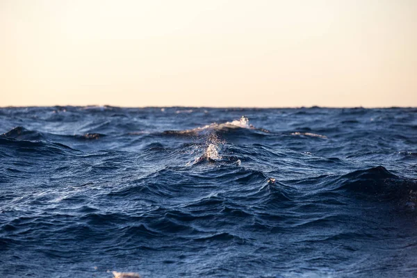Large sea waves at sunset closeup — Stock Photo, Image
