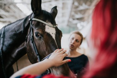 Moskova, Rusya - Ağustos 2019: Binicilik üssüne atlar ve ziyaretçiler, binicilik